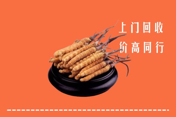 附近收购：尧都区冬虫夏草回收多少钱每克