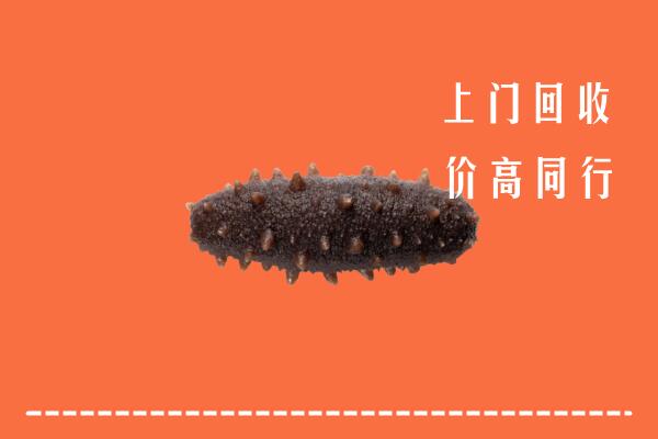 高价求购：尧都区回收海参