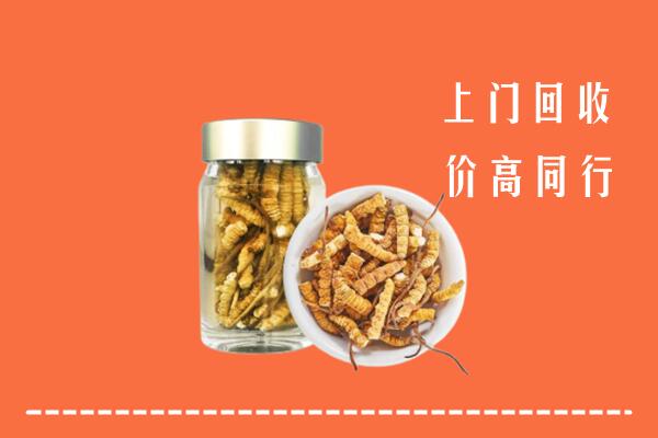 尧都区回收冬虫夏草