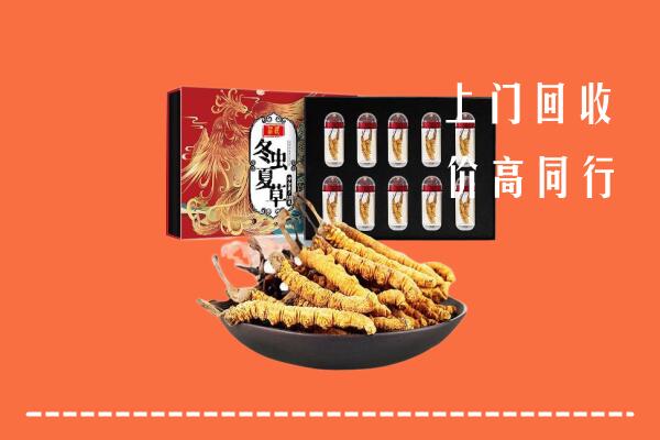收购行情：尧都区回收虫草
